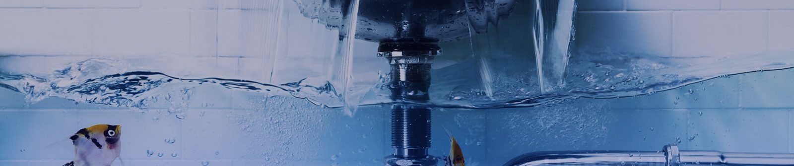 MARCELO HIDRÁULICA (ENCANADOR) (ITAPEMA/SC), desentupidoras rj